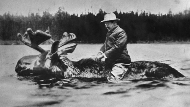 Image for Teddy Roosevelt, “The Strenuous Life”